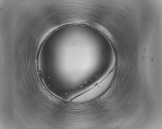 X0000076301332200609291026