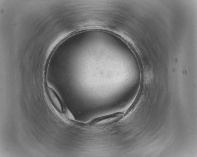 X0000076301333200609291026