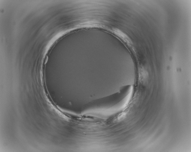 X0000076301334200609291026