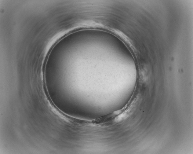 X0000076301335200609291026