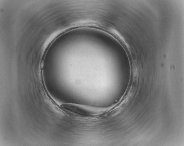 X0000076301336200609291026