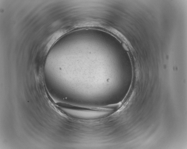 X0000076301337200609291026