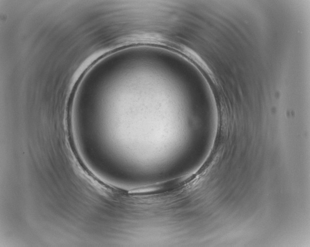 X0000076301339200609291026