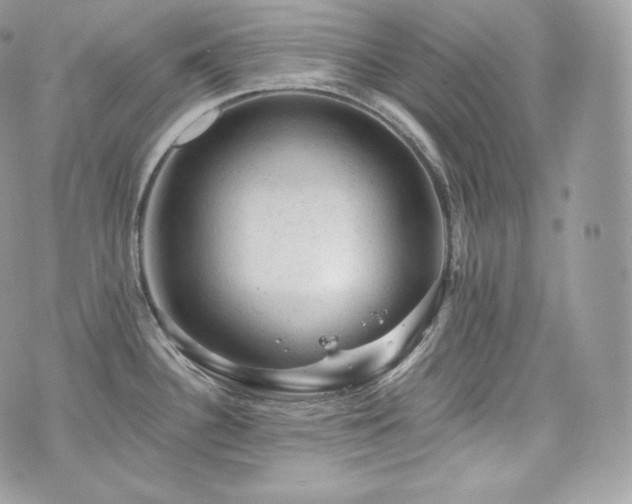 X0000076301340200609291026