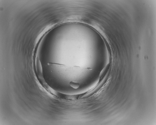 X0000076301341200609291026