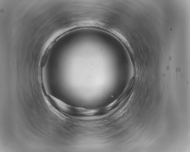 X0000076301342200609291026