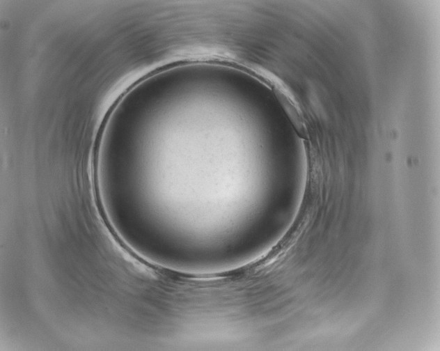 X0000076301343200609291026