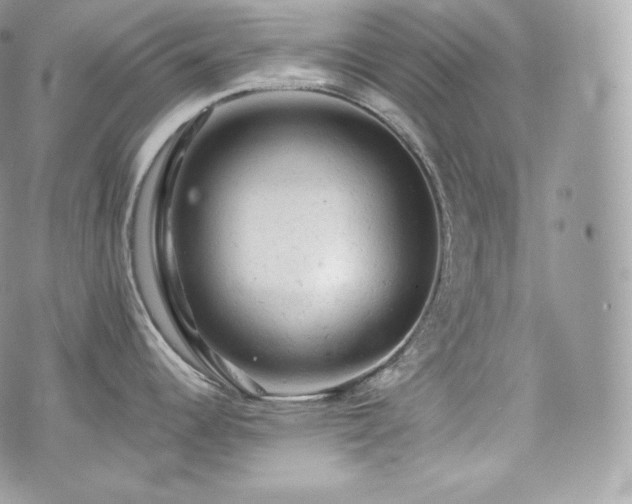 X0000076301344200609291026