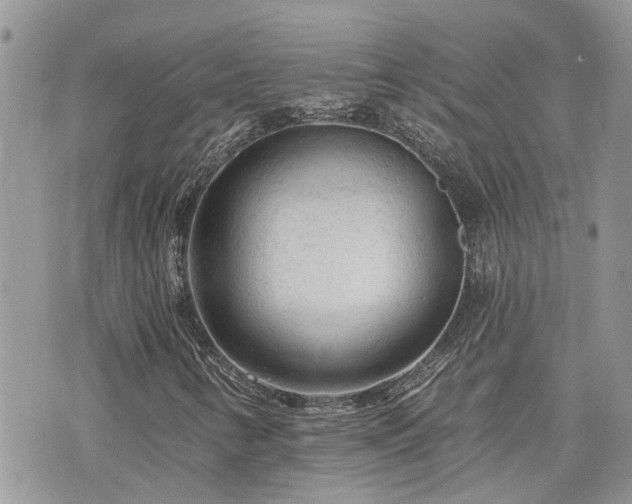 X0000076301346200609291025