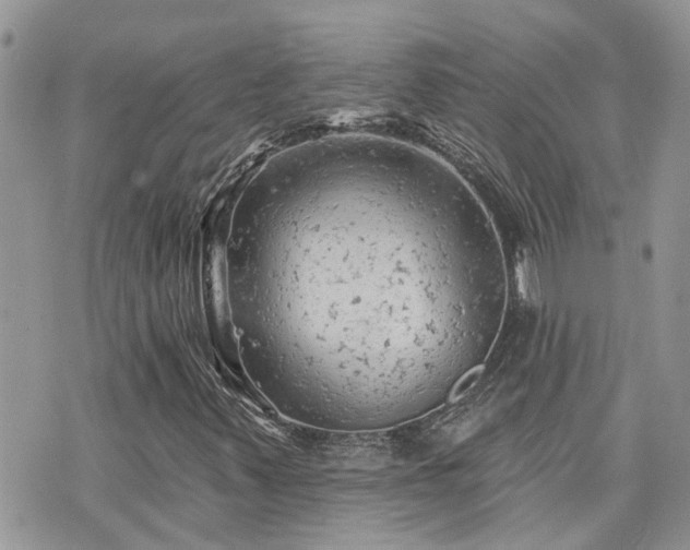 X0000076301347200609291025