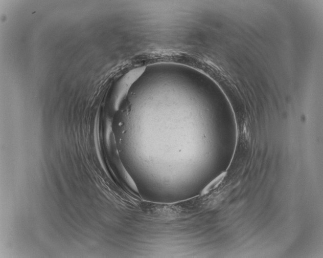 X0000076301348200609291025