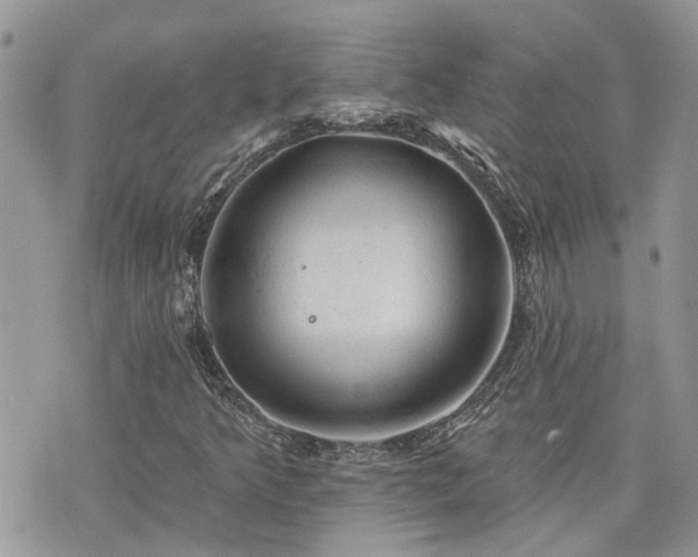 X0000076301349200609291025