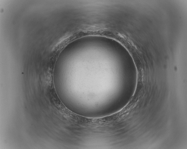 X0000076301350200609291025