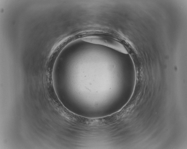 X0000076301352200609291025