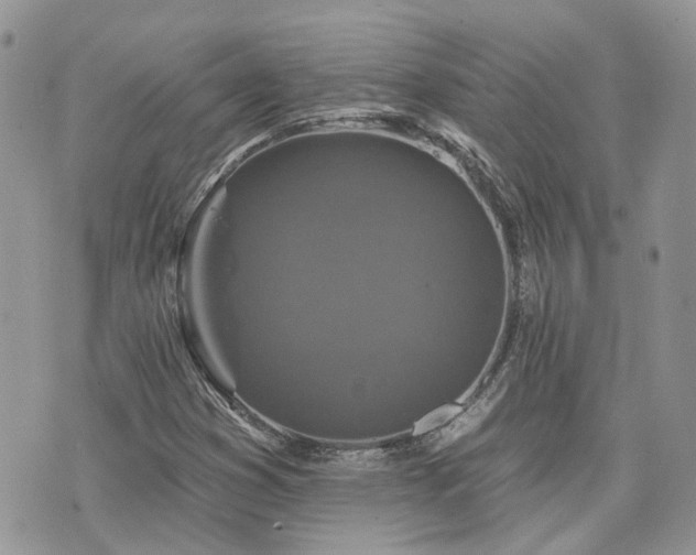 X0000076301353200609291025