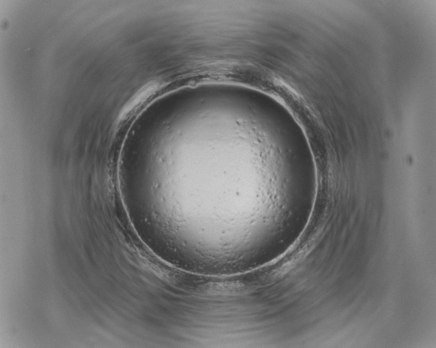 X0000076301354200609291025