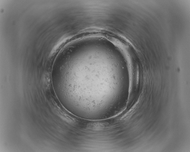 X0000076301355200609291025