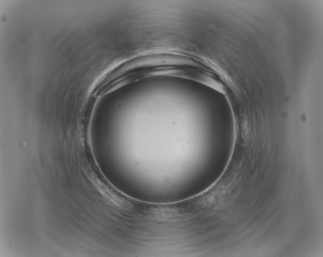 X0000076301356200609291025