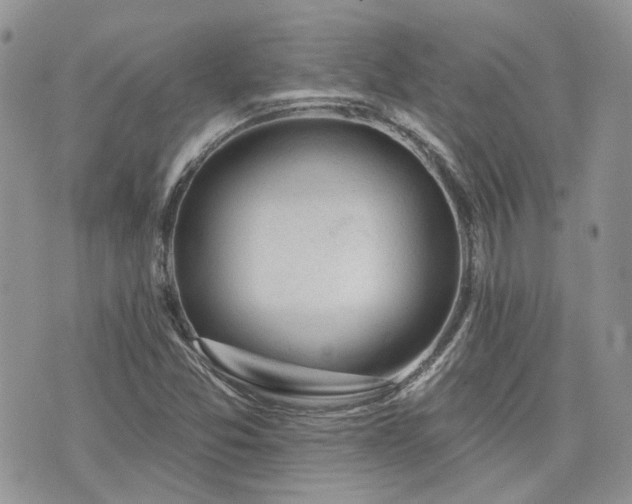 X0000076301357200609291025