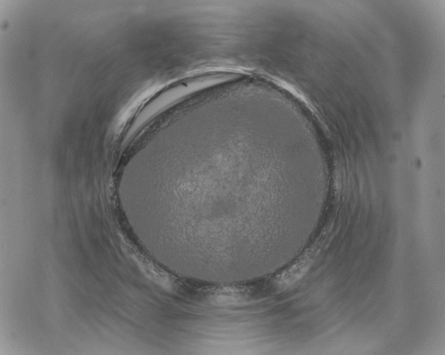 X0000076301359200609291025