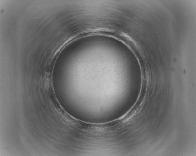 X0000076301361200609291025