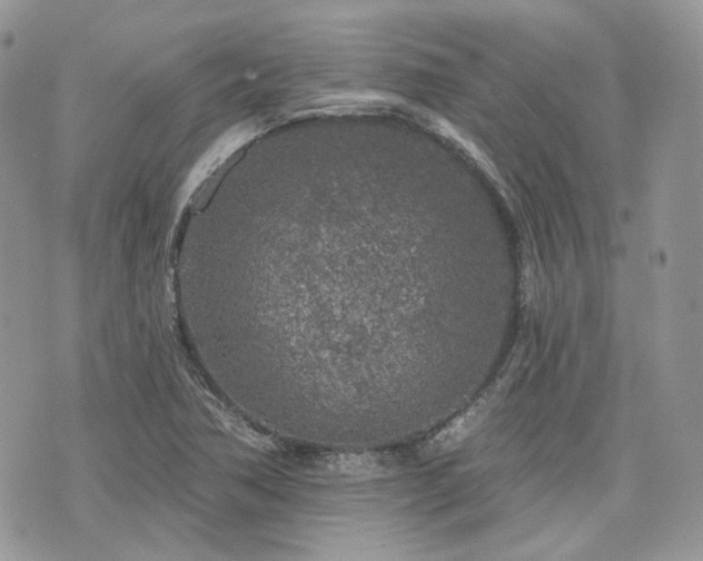 X0000076301362200609291025