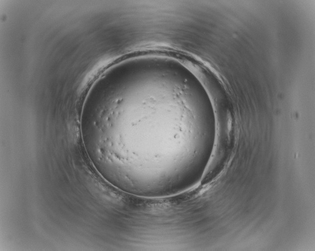 X0000076301363200609291025