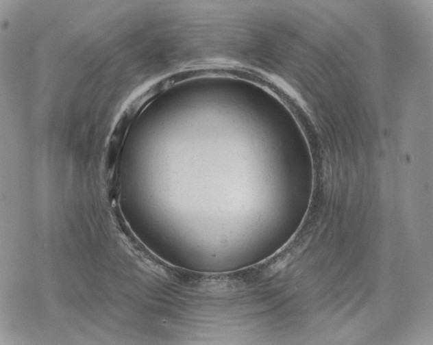 X0000076301364200609291025