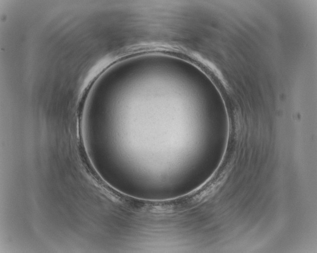 X0000076301365200609291025