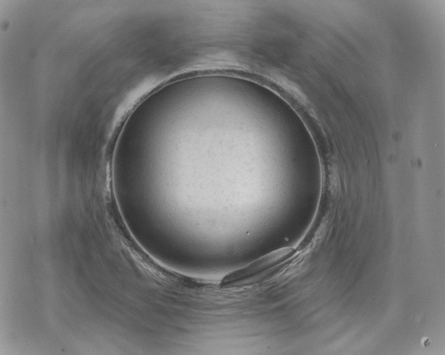 X0000076301366200609291025