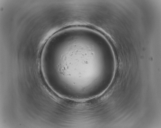 X0000076301367200609291025