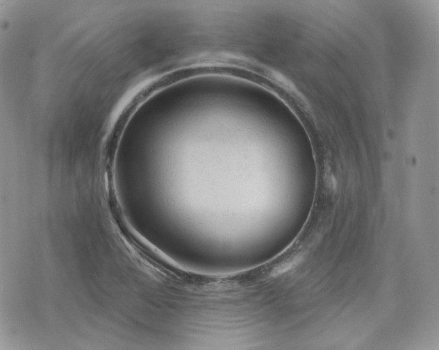 X0000076301368200609291025