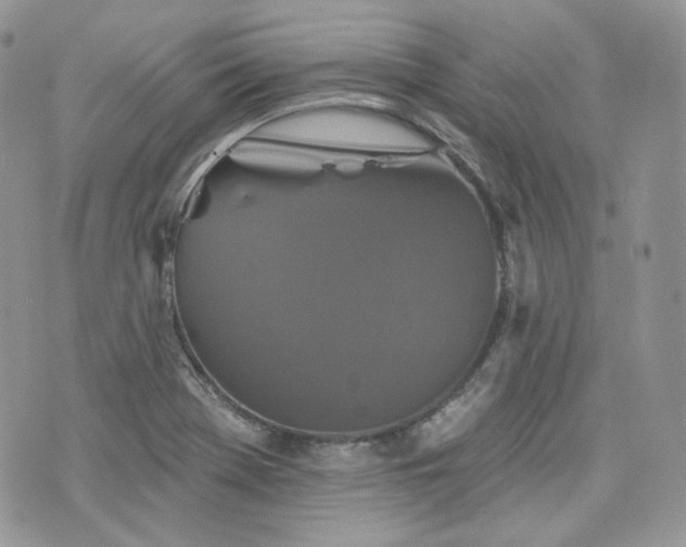 X0000076301369200609291025