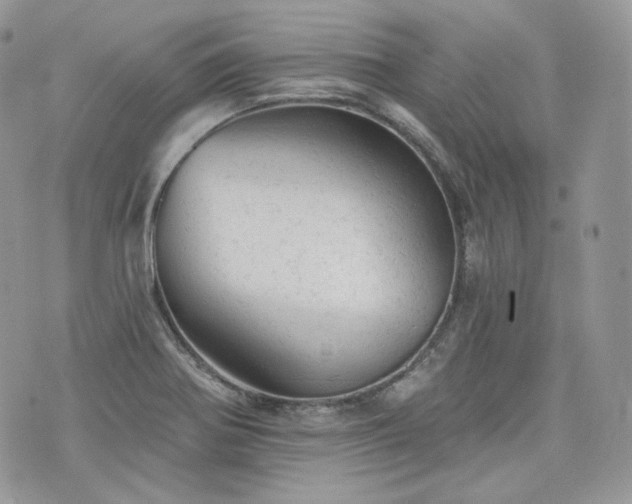 X0000076301370200609291025