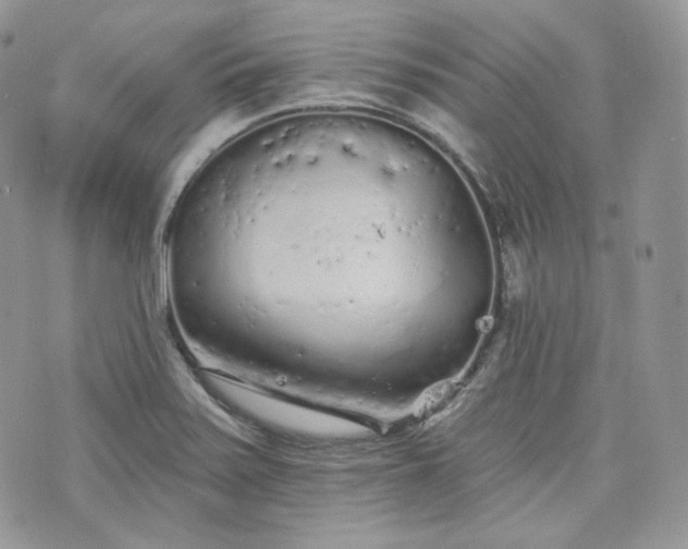 X0000076301371200609291025