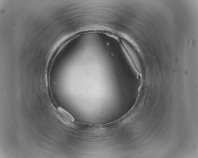 X0000076301372200609291025