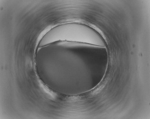 X0000076301373200609291025