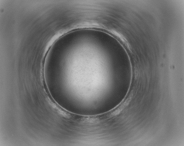 X0000076301374200609291025