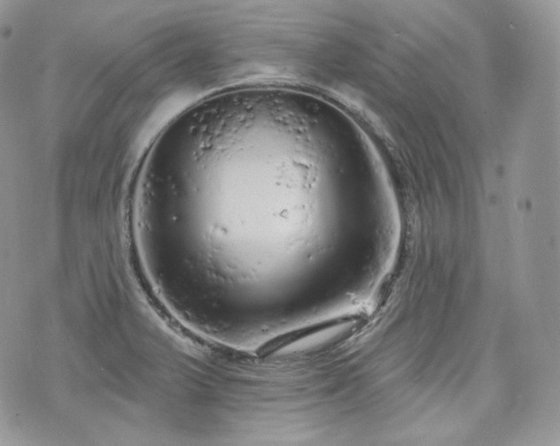 X0000076301375200609291025