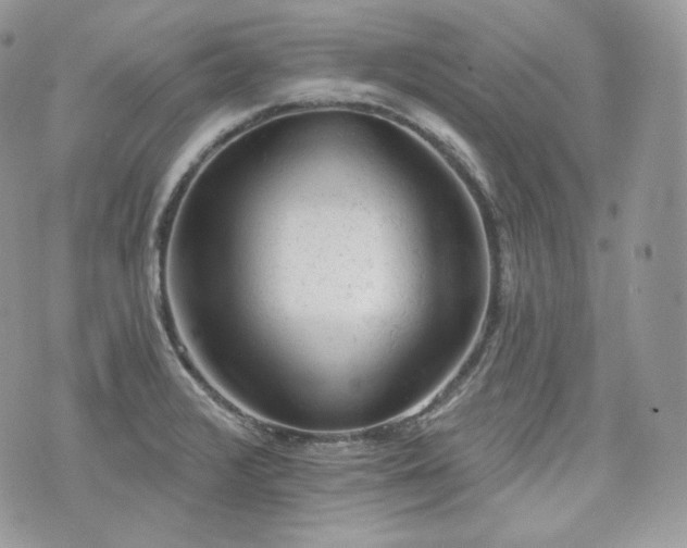 X0000076301376200609291025