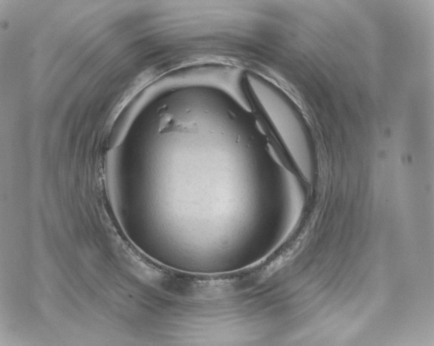 X0000076301377200609291025