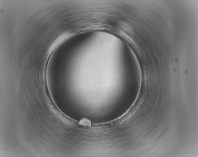 X0000076301378200609291025