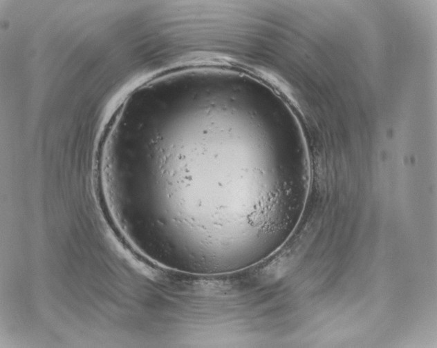 X0000076301379200609291025