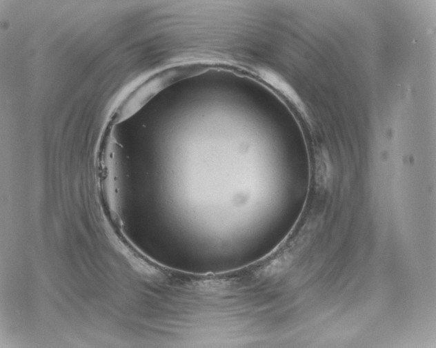 X0000076301380200609291025