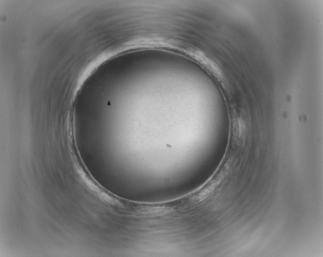 X0000076301382200609291024