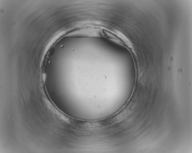 X0000076301384200609291024