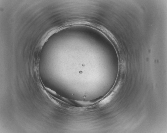 X0000076301385200609291024