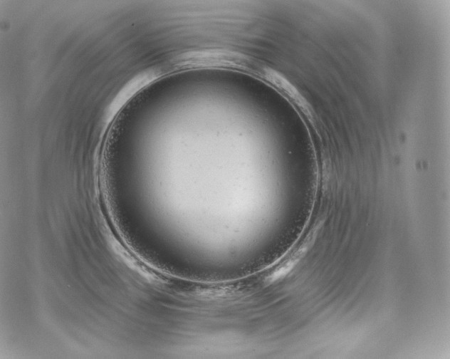 X0000076301386200609291024