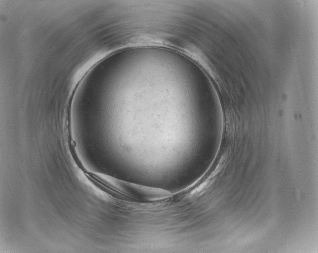 X0000076301387200609291024