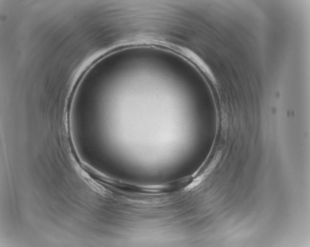 X0000076301388200609291024